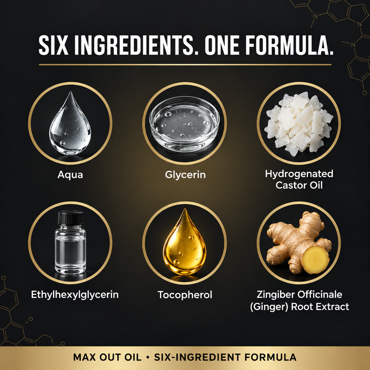 Max Out Oil — six listed ingredients: Aqua, Glycerin, Hydrogenated Castor Oil, Ethylhexylglycerin, Tocopherol, and Zingiber Officinale (Ginger) Root Extract