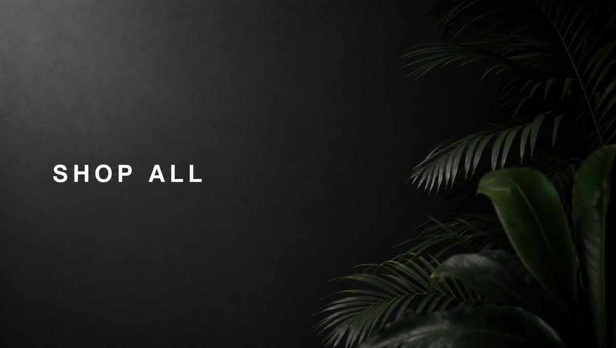 Shop All collection banner