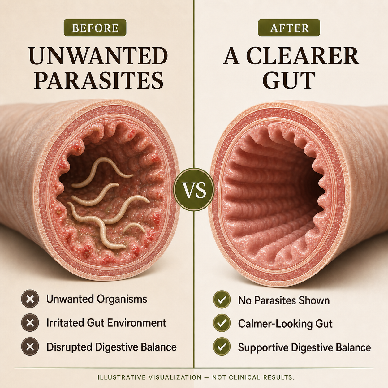 TryCure Black Walnut Wormwood Parasite Cleanse — 02 gut comparison
