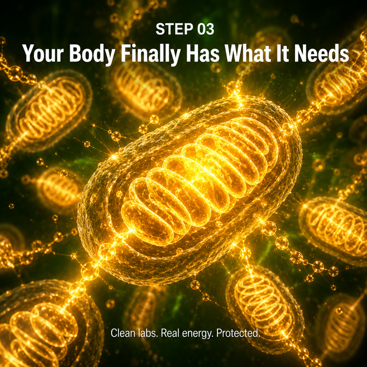 Bariatric Multivitamin — Post-Op Capsules how it works step 3