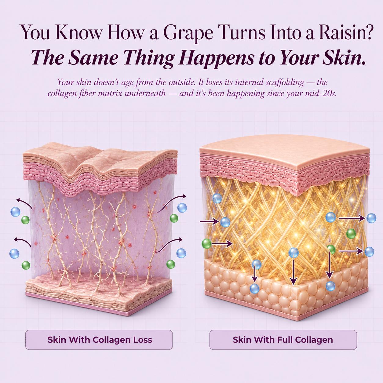 TryCure Multi Collagen Complex 8:1 - Complete Beauty Collagen — 03 of 12