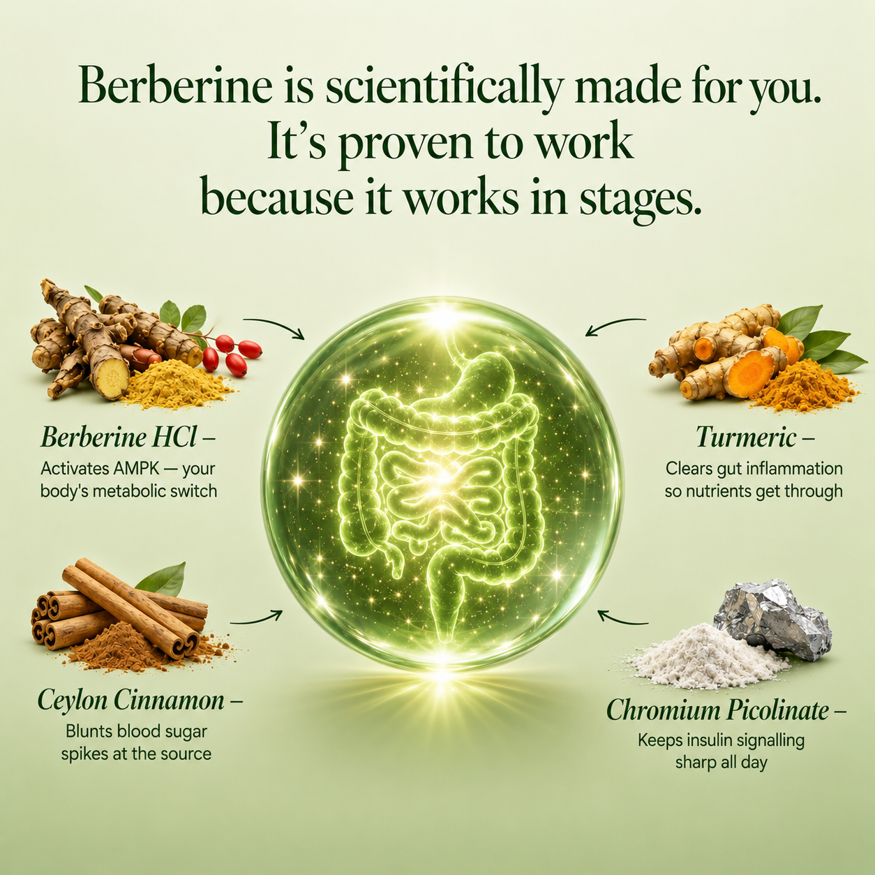 TryCure Berberine Complex — 06 of 09