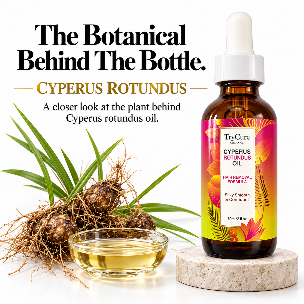 Cyperus rotundus botanical spotlight