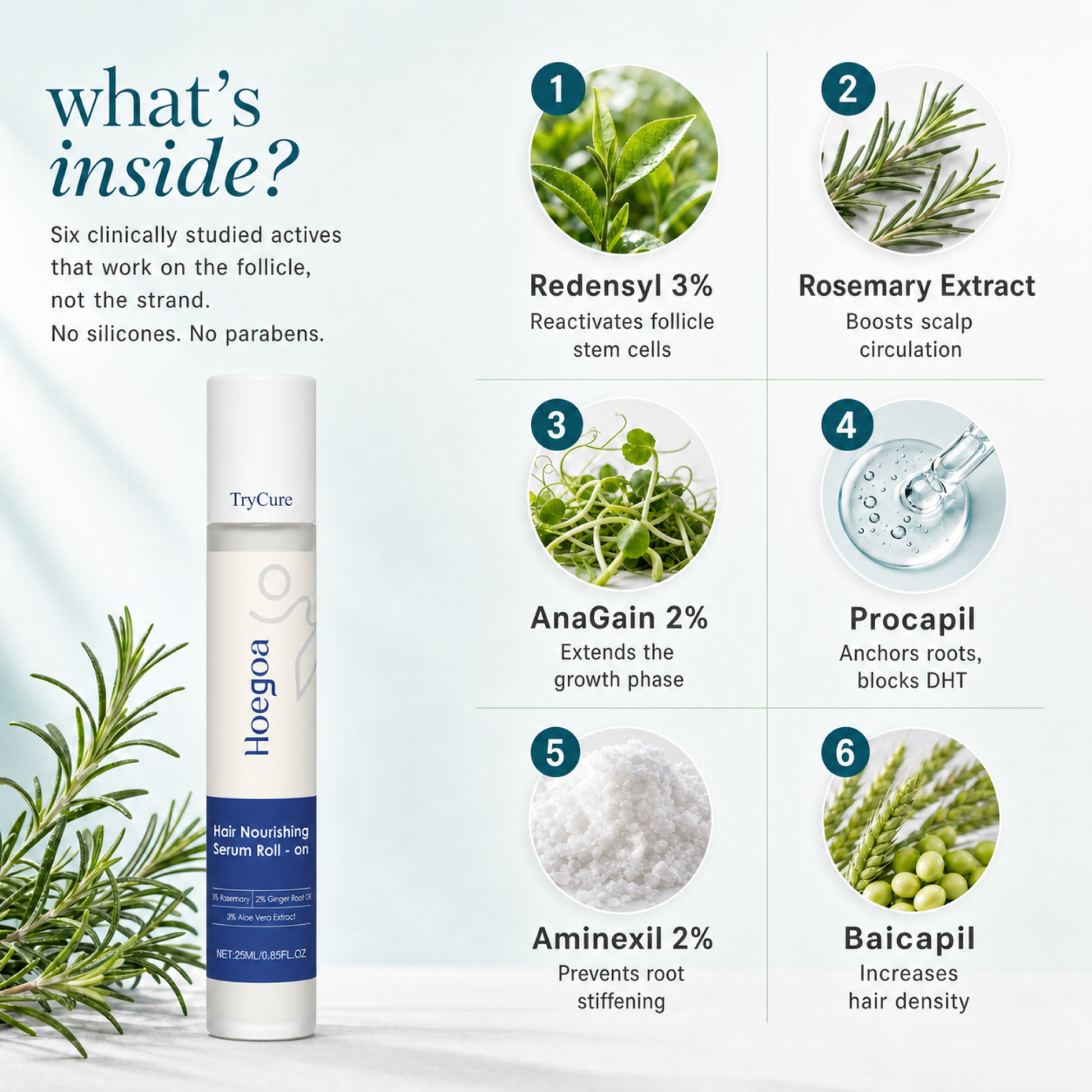 TryCure Korean Rosemary Hair Serum — 04 what is inside