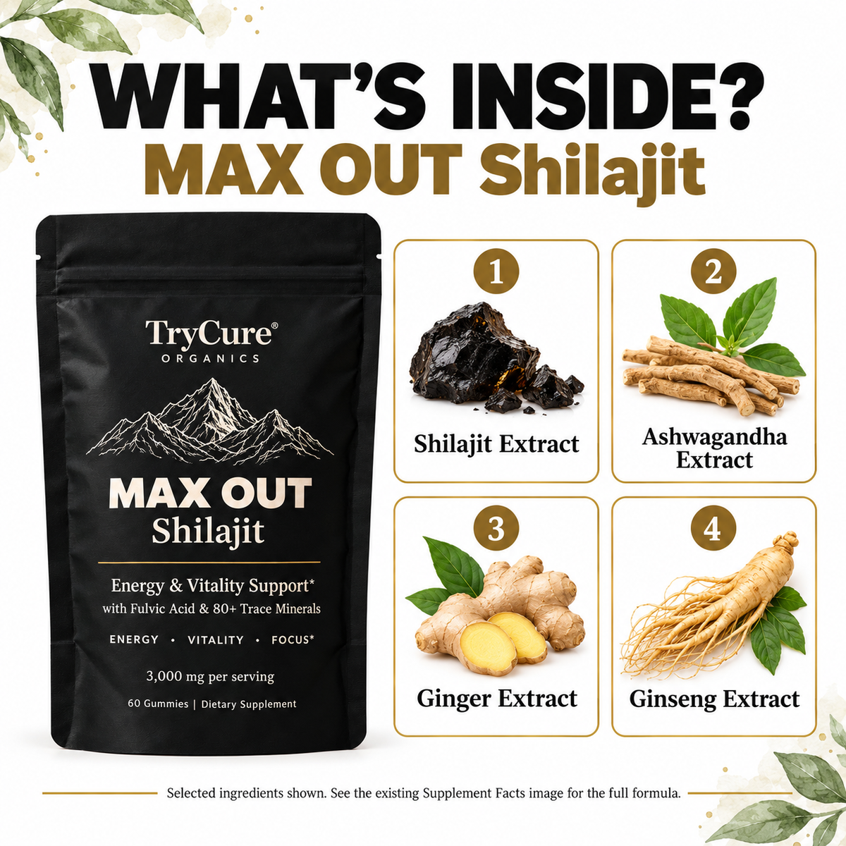 TryCure® MAX OUT SHILAJIT — formula overview